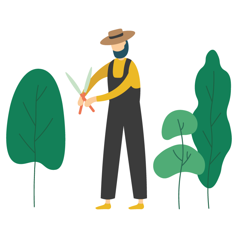 illustration homme jardinier paysagiste taillant des arbres